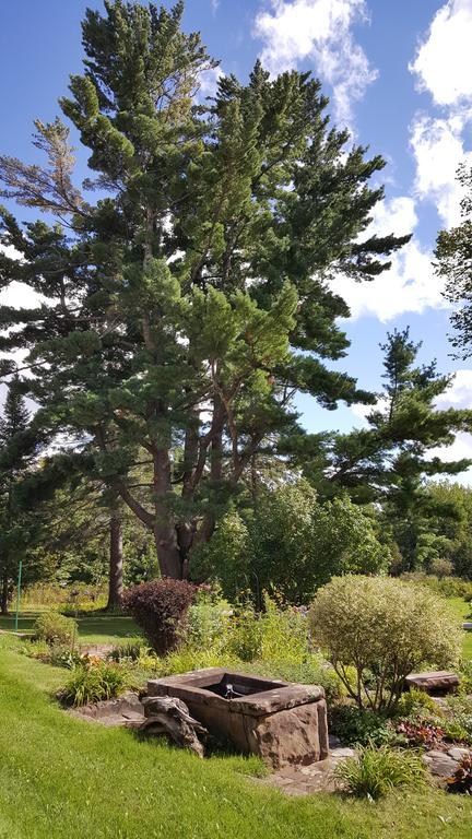 Pinehurst Inn Bed & Breakfast Bayfield Buitenkant foto