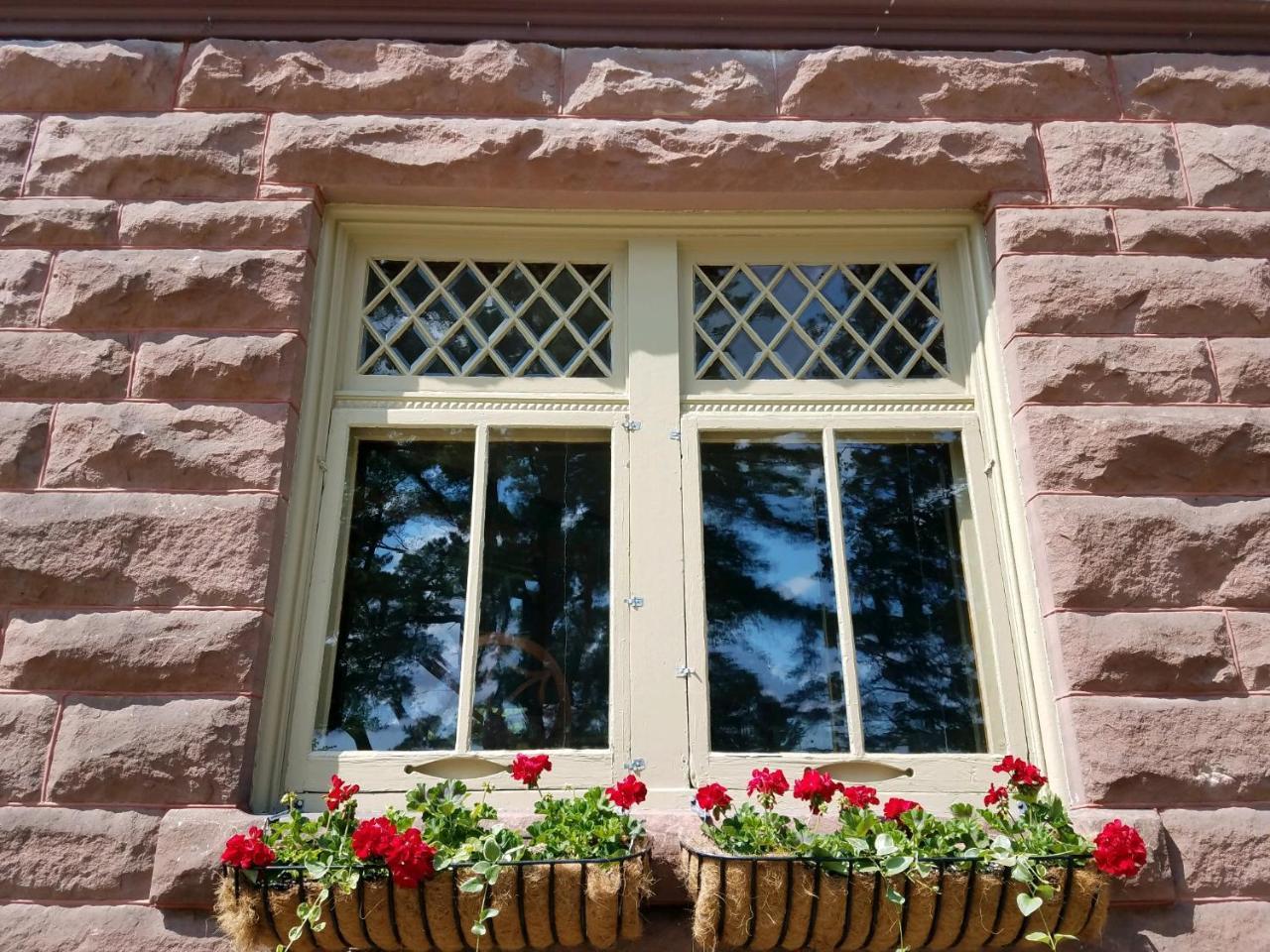 Pinehurst Inn Bed & Breakfast Bayfield Buitenkant foto