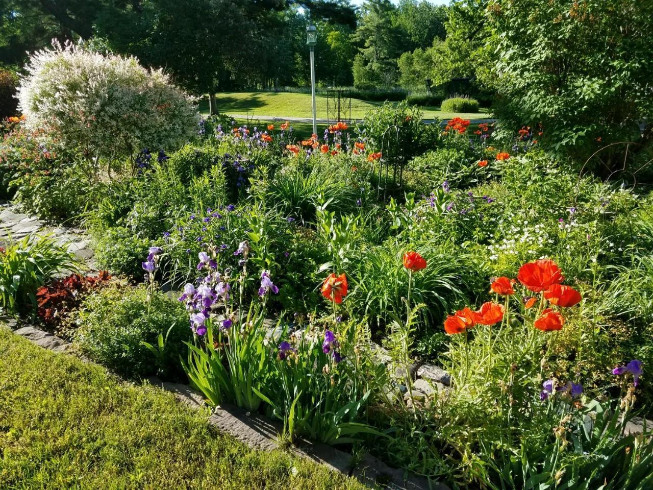Pinehurst Inn Bed & Breakfast Bayfield Buitenkant foto